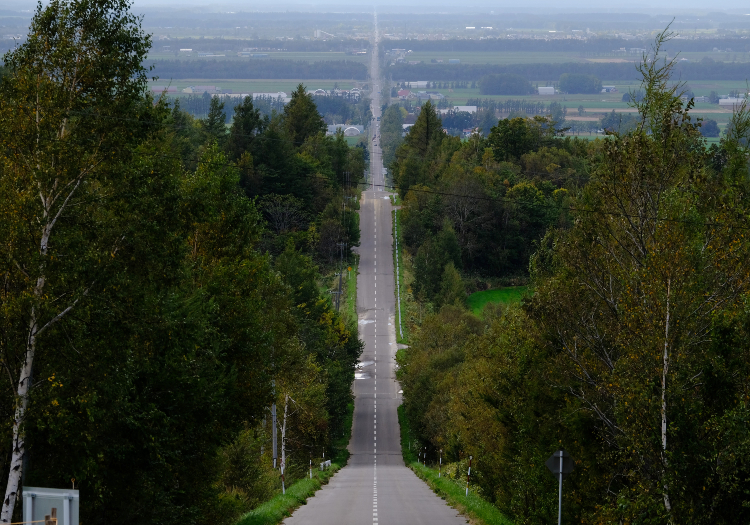 世界自然遺産を体感できる時間を提供します。