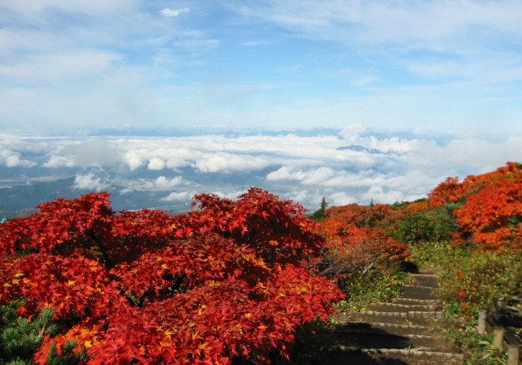 山形県の蔵王温泉でお客様をお迎えしている「蔵王四季のホテル」