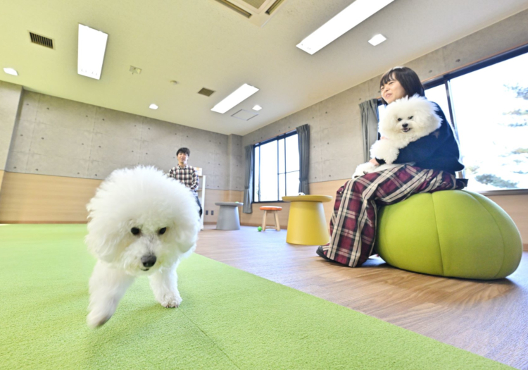 室内外にドッグランを設置。愛犬と一緒に楽しめる環境です。