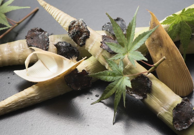 扉温泉明神館 × 和食