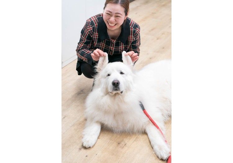 全室コテージタイプの客室で、大切な愛犬との旅のひと時をお過ごしいただけます。