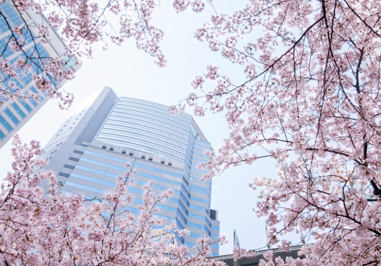 ストリングスホテル東京インターコンチネンタル × マネージャー・支配人（管理部門）