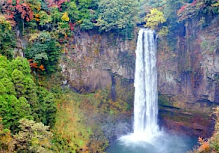 季節によって移ろうくじゅう連山の美しい景色も魅力です。