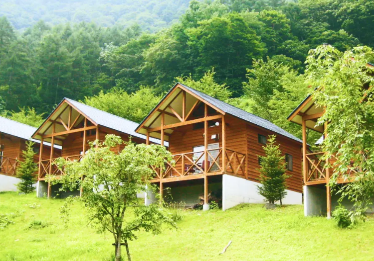 まほーばの森 × サービススタッフ