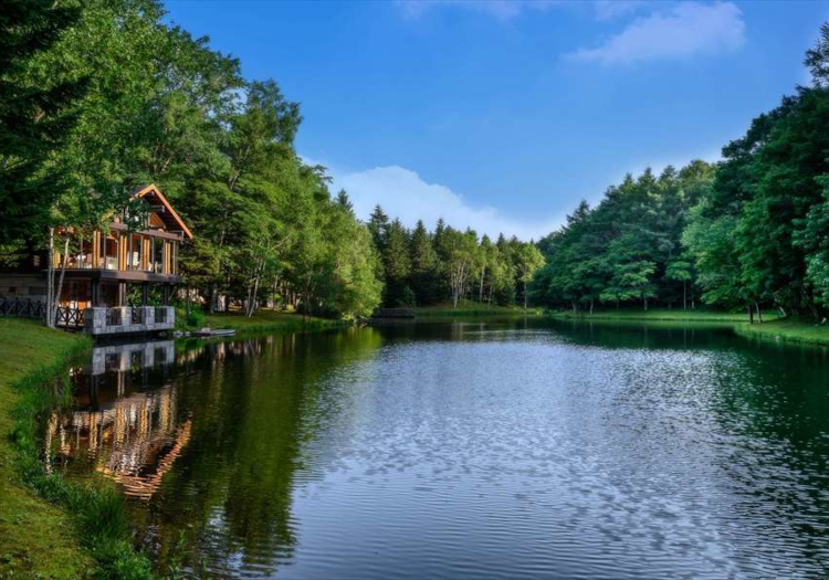 木の温もりや湖の景観が楽しめる宴会場も。二人の門出を祝うウェディングシーンにも♪