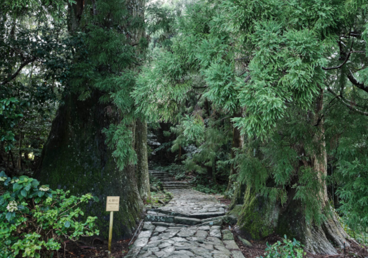 世界遺産「熊野古道」を目当てに、国内外からたくさんのお客様がお越しになります