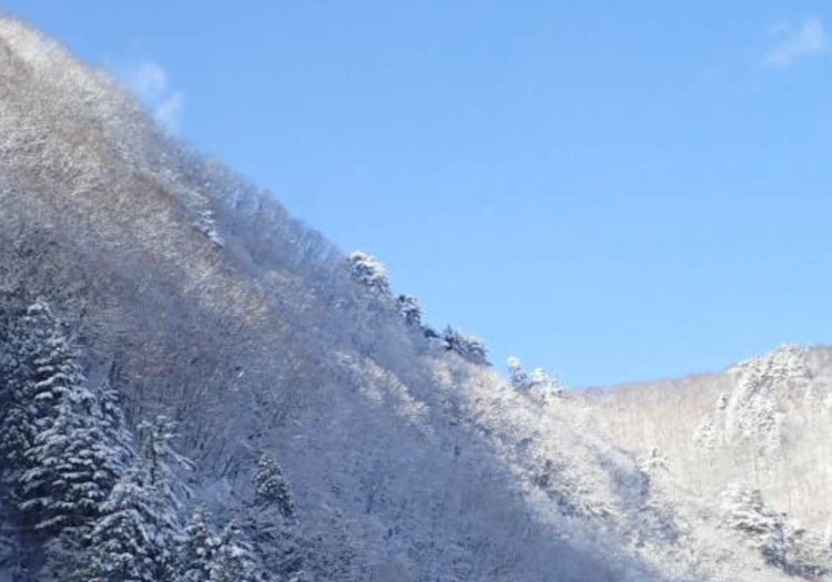 冬は雪景色が広がり、天元台スキー場も開きます。休日などぜひご利用ください！