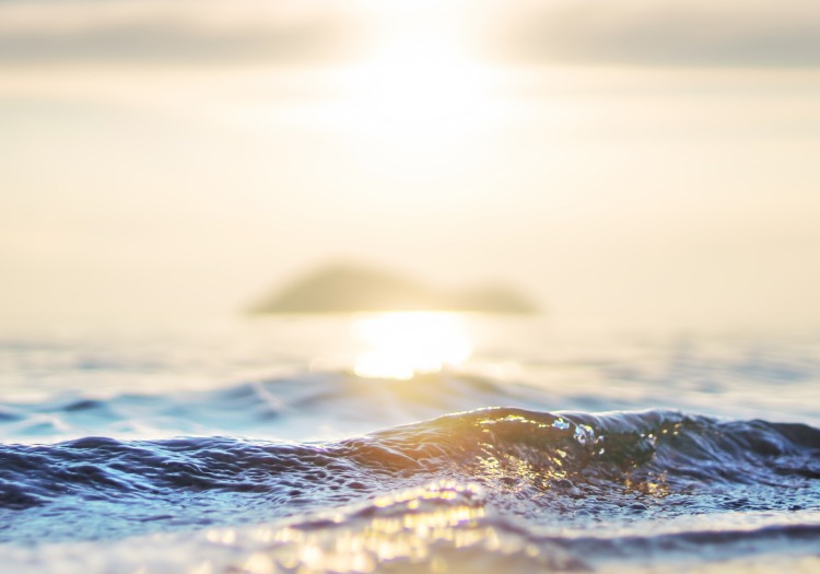 株式会社西巻観光 × サービススタッフ