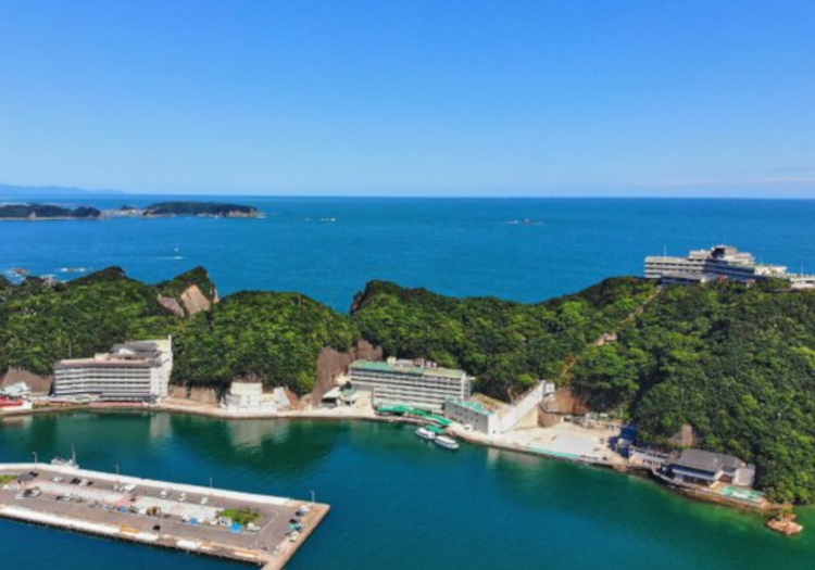 田辺市本宮エリアにて、4拠点・計7施設の温泉旅館およびホテルを運営している当社
