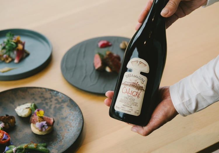 ナチュールワインとのペアリング料理など、幅広い知識を身に付けることができます