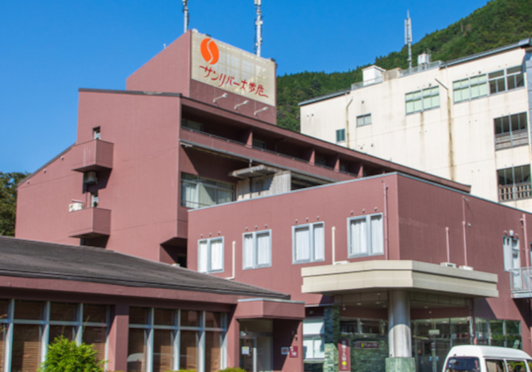 四季により違った顔を見せる大歩危と小歩危の渓谷が一望できる高台に位置します。