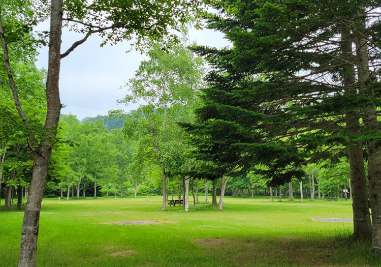 森と緑に囲まれたロケーション。大自然に触れながら働ける環境です。