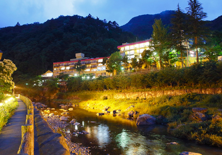 江戸時代からの歴史を誇る温泉地で、至福のひとときを提供しませんか？