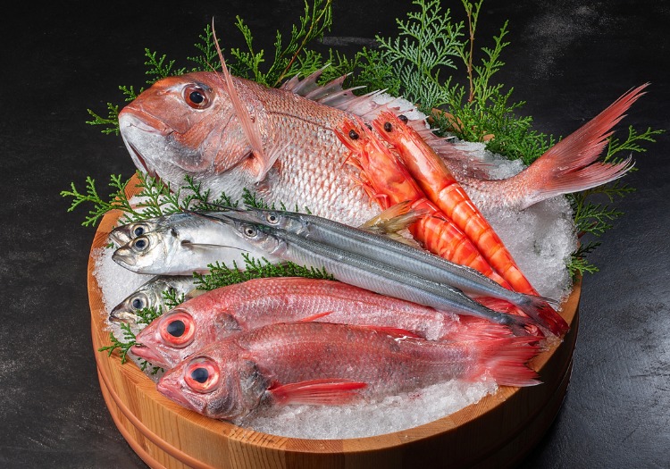 港から届く新鮮な海の幸。山陰の豊かな恵みを一皿に込めて提供します。