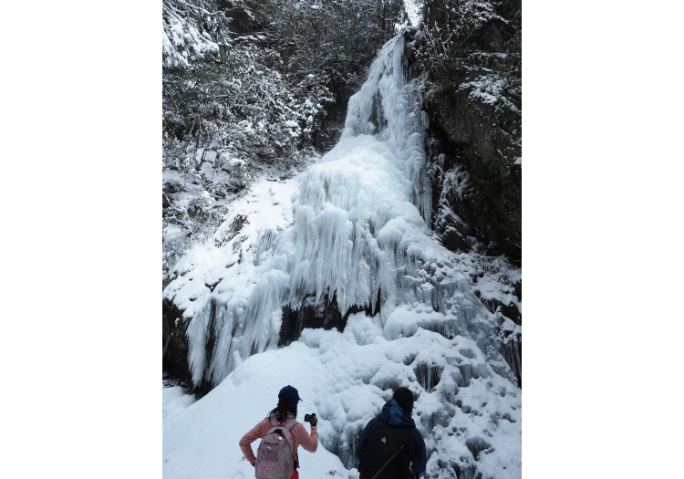 季節によって違う表情を見せる山林の絶景や水の恵み。四季を楽しみながら働けます。