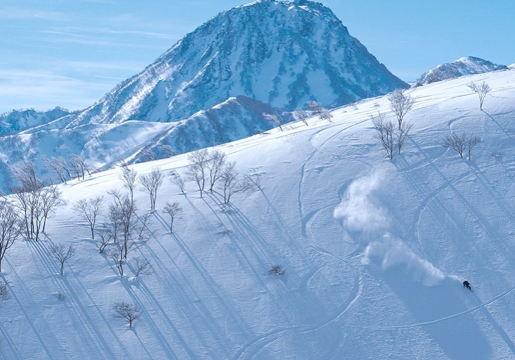 広大な広さとパウダースノーを誇るスキー場で、ウィンタースポーツを満喫できます。