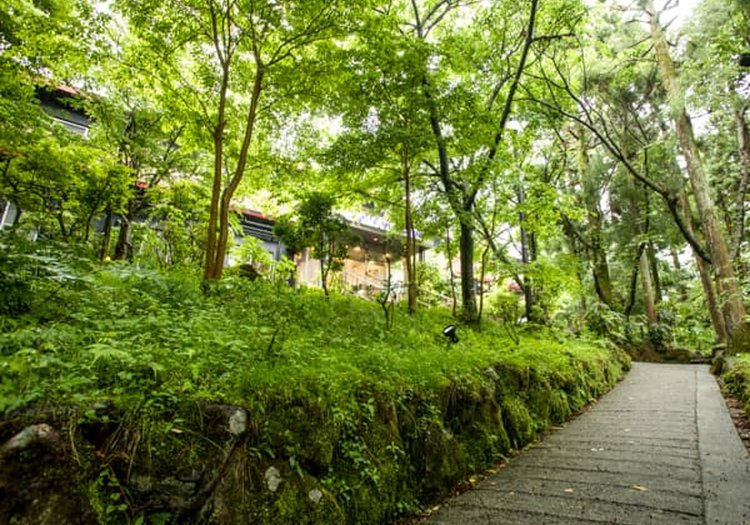 緑あふれる散策路。木々の中を抜けてホテルへと至る癒しの環境で料理を担当します