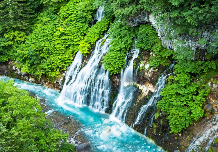 白ひげの滝など富良野・美瑛の名所が点在。観光の拠点としても魅力的な立地です。