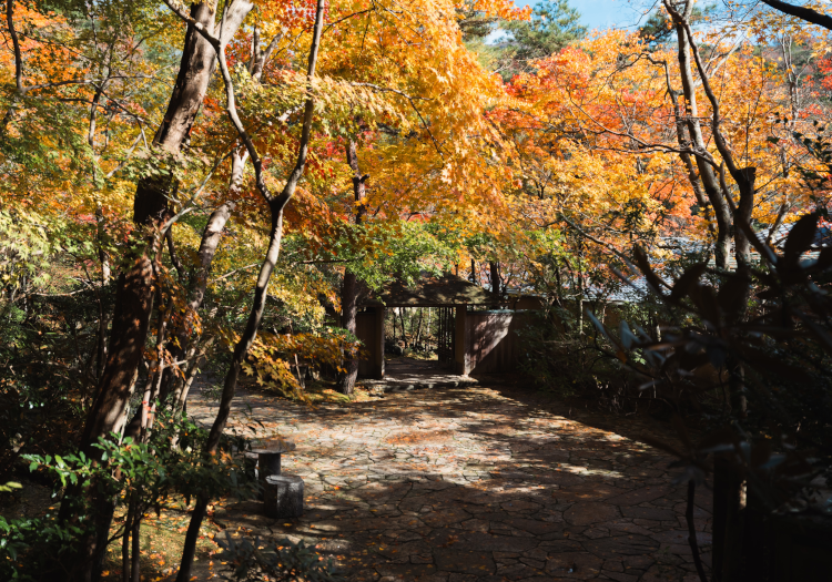 長年の温泉の歴史を誇り、大自然の中だから提供できる“おもてなし” 国立公園雲仙温泉は、約1,300年前、「温泉」と書いて「うんぜん」と読んでいた頃に開湯されたと言われています。その古い温泉の歴史と、日本庭園を始め日本らしい自然に囲まれた全室離れの当館は、静寂の中、非日常空間を提供しています。特に2棟のみの「特別室」は、広々とした和室やリビングに加えて、露天風呂、サウナも完備されており、自然の中でプライベート時間をお楽しみいただけます。日本の伝統を大切にする当館だから体験できる特別な旅を一緒にお届けしませんか？働きながら四季の自然を体感できるのも当館の魅力です。