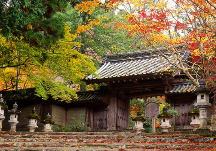 季節ごとに絶景などを楽しみながら働けます！ 高雄は嵐山から数キロ北に進んだ所にあり、京都にお住まいの人々が癒しを求めに来ることも多い場所です。そのため人が多すぎず、比較的静寂で、豊かな自然と季節ごとに代わる景観を誇っています。新緑から紅葉の秋、夏には川床、冬には銀世界が広がるなど、四季の自然を感じながら当館では働けます。また、夜には天然記念物の源氏ボタルが川面を乱舞している姿を見られ、舞子さんも招いているため、日本の伝統文化に触れることも可能です。「京都が好き」「京都で働きたい」という思いのある方からのご応募をお待ちしております。