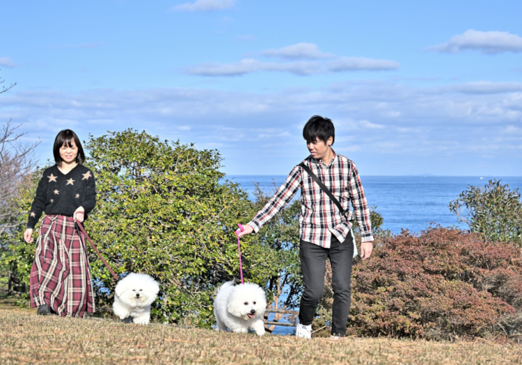 月8日休み、市外から応募の方には住宅手当や物件紹介も！ もともとは家業としてスタートした会社のため、まだ企業として足りない部分もあるかもしれませんが、無理のない環境づくりを心がけています。公休は月8日でリフレッシュでき、繁忙期などで8日確保できない場合は翌月などで調整しています。また、市外から応募の方には住宅手当を支給、賃貸を探すお手伝いもしますのでご安心ください。スタッフの自主性や意見、アイデアを重視した運営を行ない、この呼子という町が好き、もしくはこれから好きになっていただける方と、呼子の良さを一緒に伝えていきたい。そんな想いでお待ちしています。