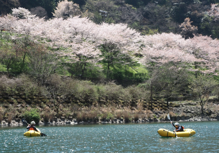 一般財団法人かわかみ源流ツーリズム 吉野川の源流で深呼吸。豊かな自然と共に、村の未来を紡ぐ旅を届けませんか。