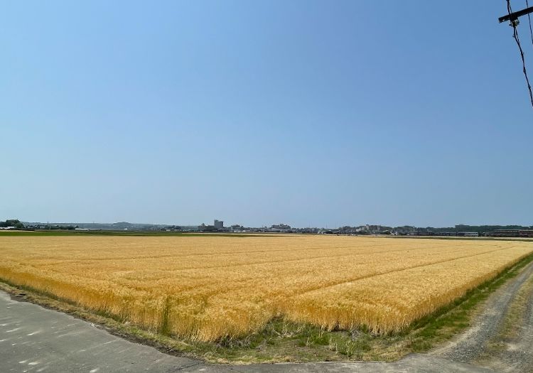 職場の様子の画像18