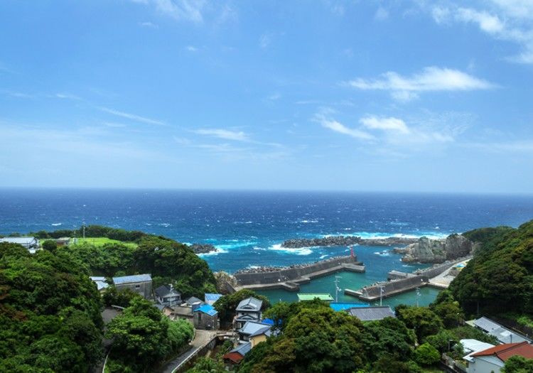 周辺には足摺展望台や金剛福寺などの観光地も多くあります。