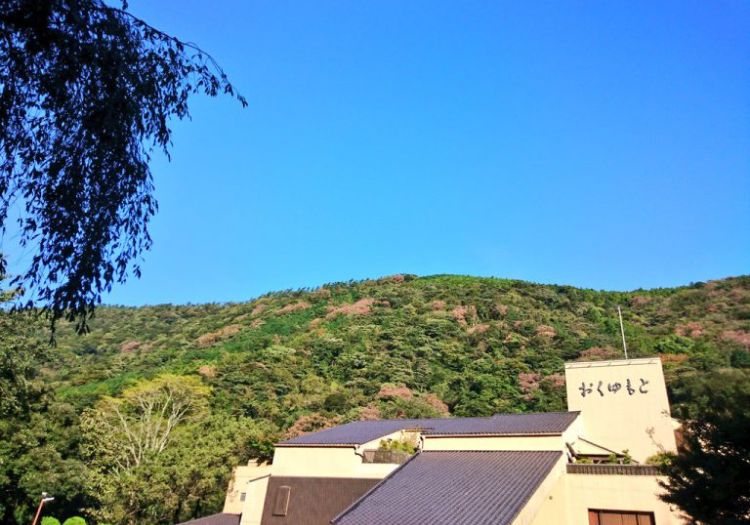 職場の様子の画像4