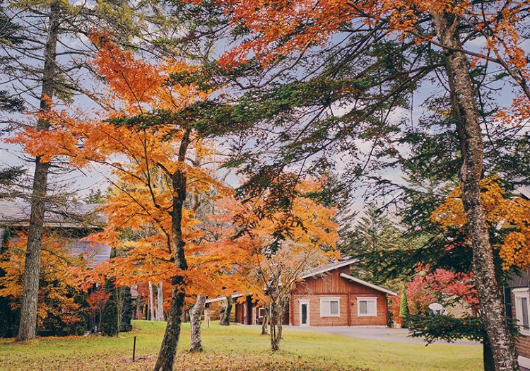 職場の様子の画像6