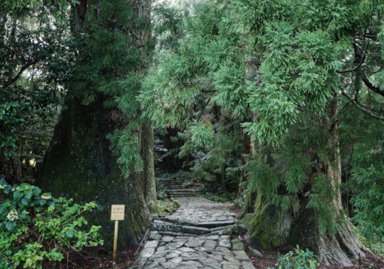 世界遺産「熊野古道」のすぐ近く。海と山を満喫できる抜群のロケーション