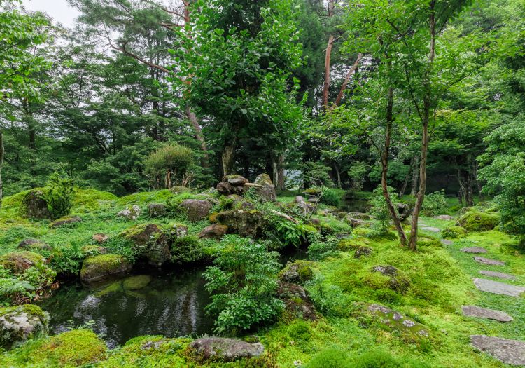 当館自慢の日本庭園は、鳥のさえずりも絶えることのない自然との一体感を味わえます