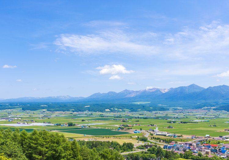 なだらかな丘が広がる中富良野町。雄大な自然に囲まれた環境で働くことができます。