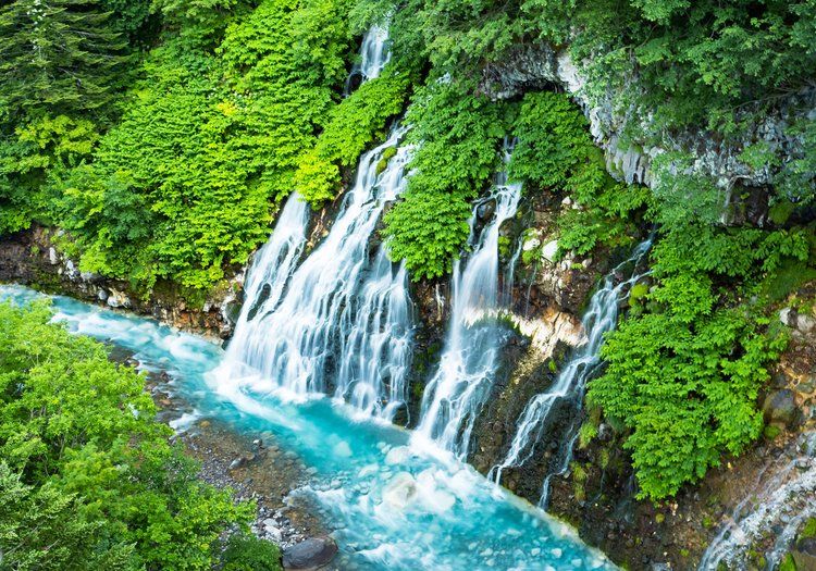 白ひげの滝など富良野・美瑛の名所が点在。観光の拠点としても魅力的な立地です。