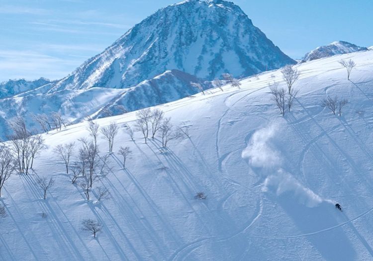 冬は極上のパウダースノー。休日はリフト券無料（当社規定あり）で雪山を満喫できます。
