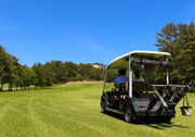 サマーシーズンの朝夕には、電動カートに乗ってグラスガーデンドライブも楽しめます