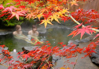 湧出地とほぼ同じ鮮度を保つ、宿所有の「生源泉」は地域でも希少です。