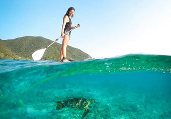 透明度抜群の海でマリンアクティビティを楽しめる環境です！