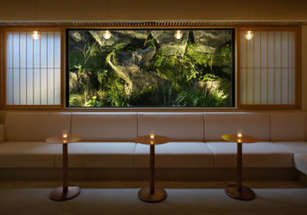 唯一無二の感動的で特別な体験をご提供することを目指しています。