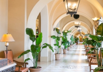 広々とした館内で、国内外のお客様をお出迎えいたします。