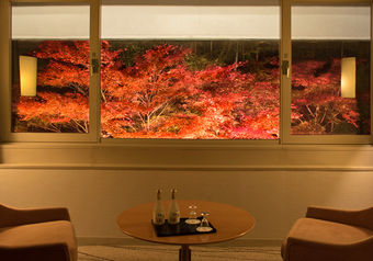 期間限定プランやフェアなどを開催しており、多彩な調理スキルが身に付く環境です