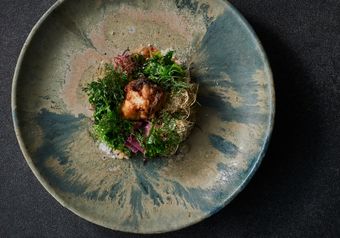 食材はすべて天草産。器も天草陶器のみを使うことで、料理の一体感を演出しています。