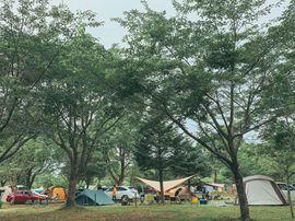 RECAMP 勝浦はファミリーや初心者に人気の千葉県のキャンプ場。
