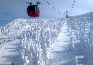スキー・スノボ好き必見。休日や休憩時間にひと滑り、もOK！